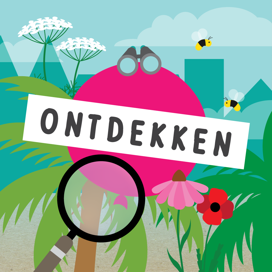 Ontdekken